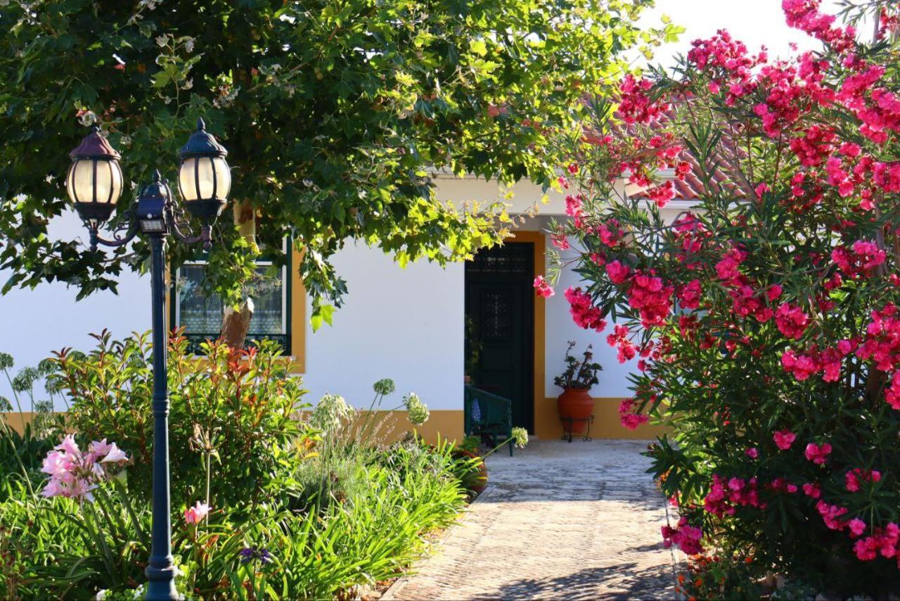 Casa Robusto Casa de hóspedes Salvaterra de Magos Exterior foto